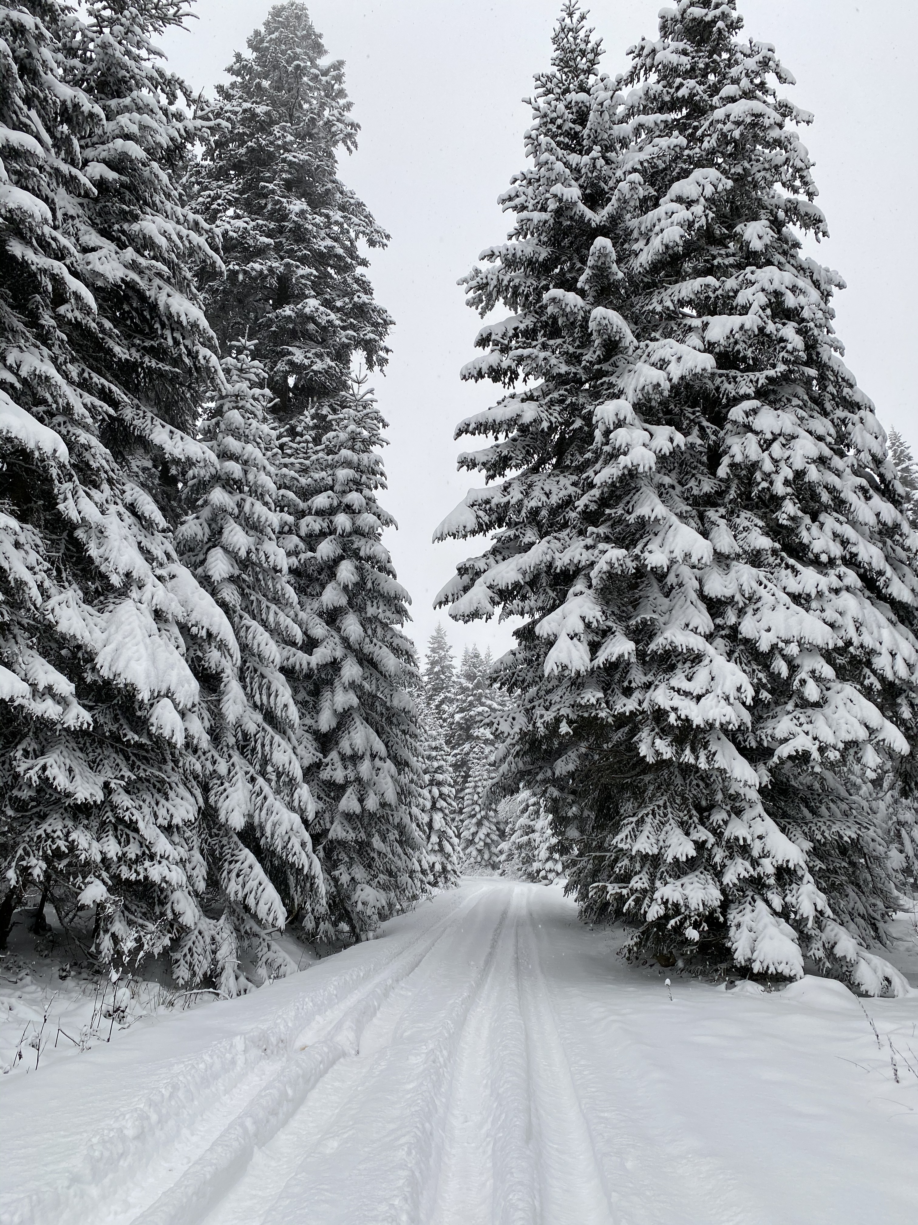 Yürüyüş manzaramız