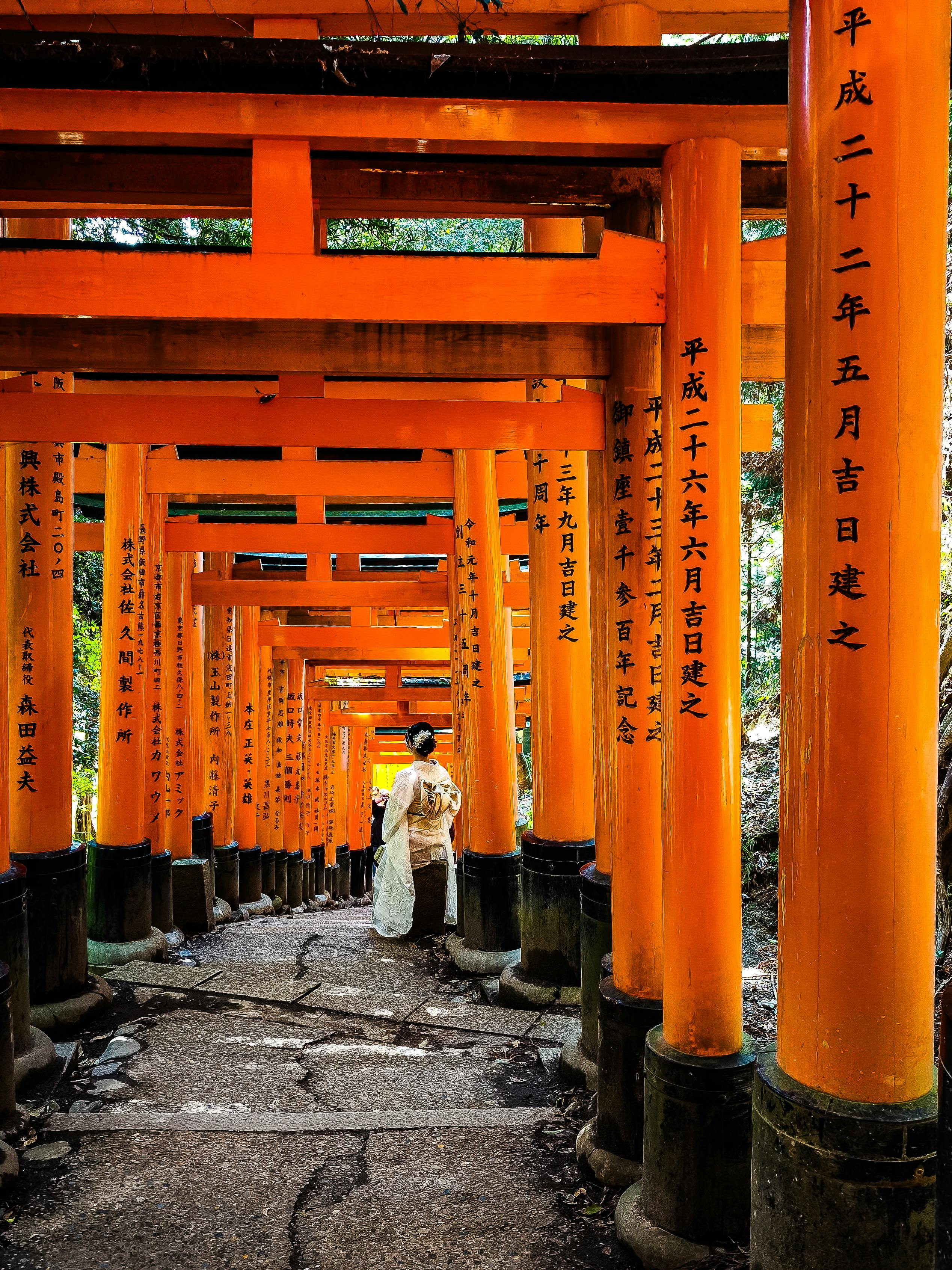 Geleneksel Japon Torii Kapıları Yolu